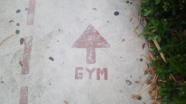 gymastique-sol